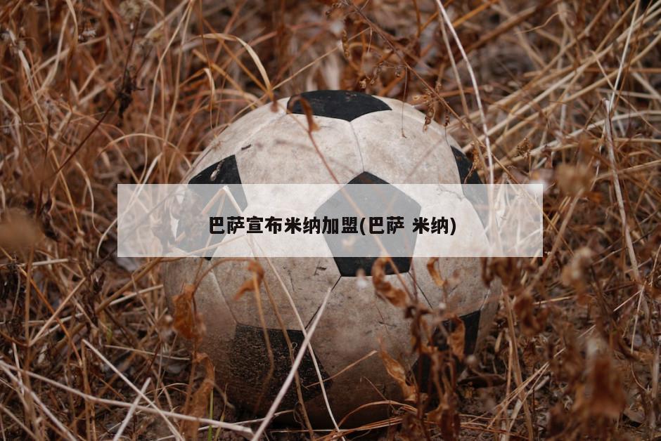 巴萨宣布米纳加盟(巴萨 米纳)