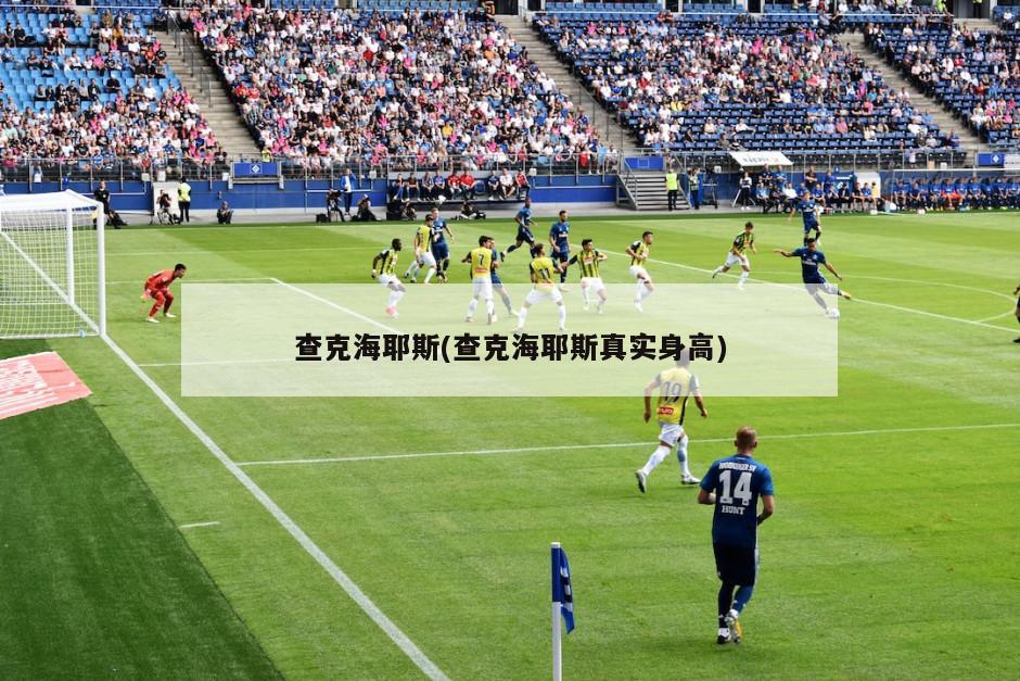 查克海耶斯(查克海耶斯真实身高)