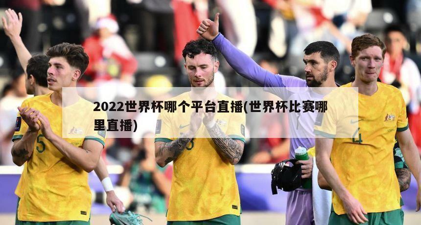 2022世界杯哪个平台直播(世界杯比赛哪里直播)