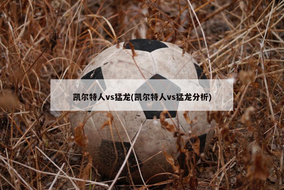 凯尔特人vs猛龙(凯尔特人vs猛龙分析)