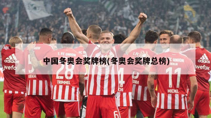 中国冬奥会奖牌榜(冬奥会奖牌总榜)
